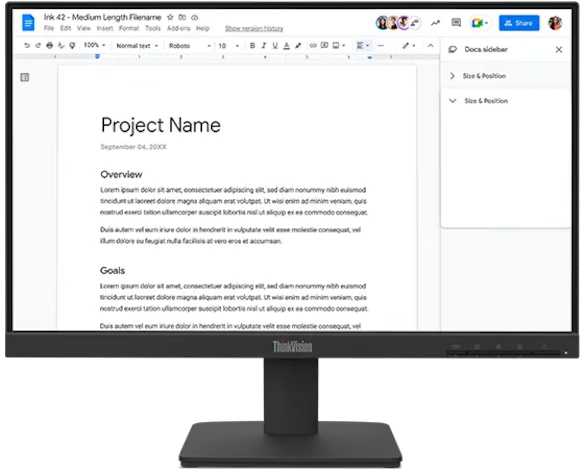 ThinkVision 21.5 inch IPS FHD 100Hz Monitor - S22-4e